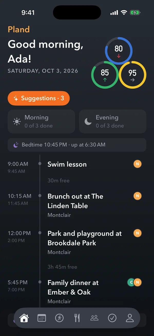Pland home for a sample household: Saturday already has a plan, with the physical, mental and financial dials.